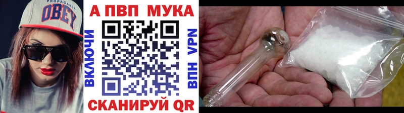 А ПВП СК КРИС  мориарти клад  Кохма 