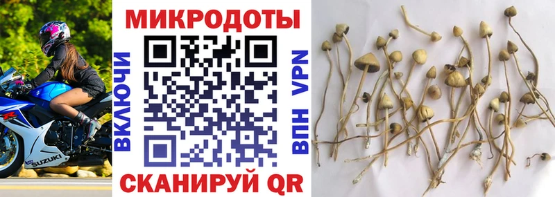 Галлюциногенные грибы ЛСД  Кохма 