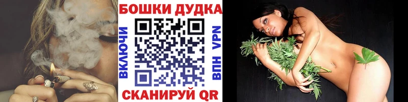 omg зеркало  купить наркотик  Кохма  Марихуана сатива 